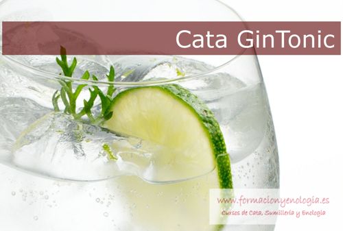 Cata GinTonic Domicilio | Formación y Enología