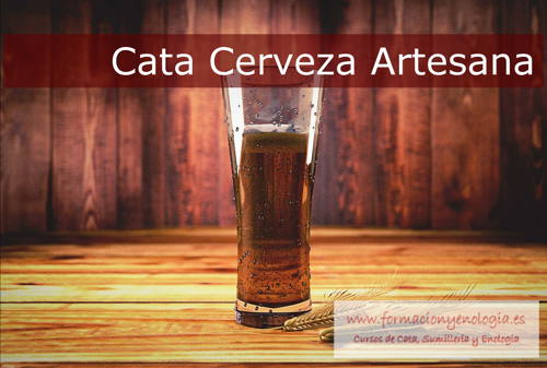 Cata Cerveza Artesana Palencia | Formación y Enología