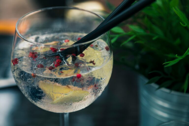 Cata Gintonic Elementos |Formación y Enología