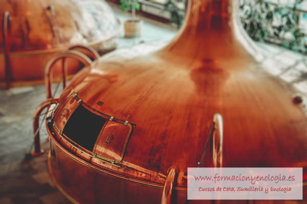 Cata Cerveza Abadía | Formación y Enología