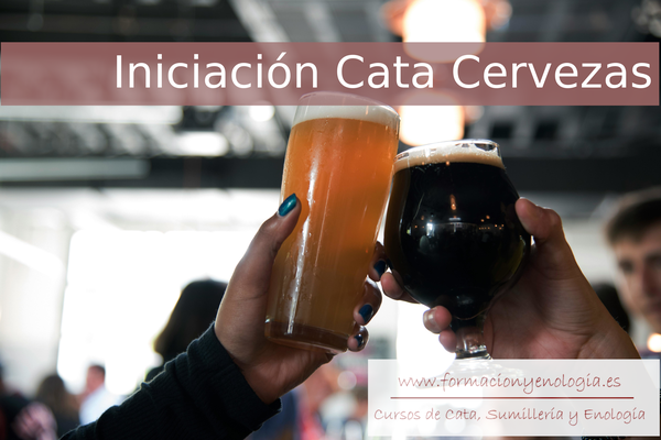 Iniciación cata cerveza | Formación y Enología