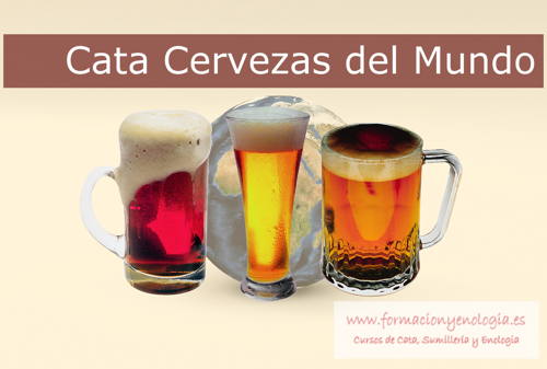 Cata Cervezas del Mundo | formación y Enología