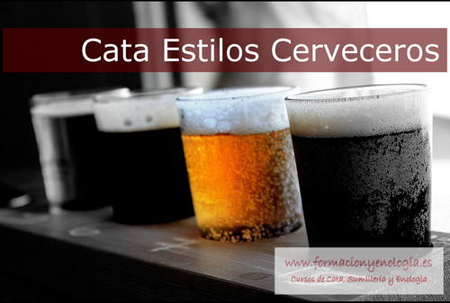 Cata Estilos Cerveceros | Formación y Enología