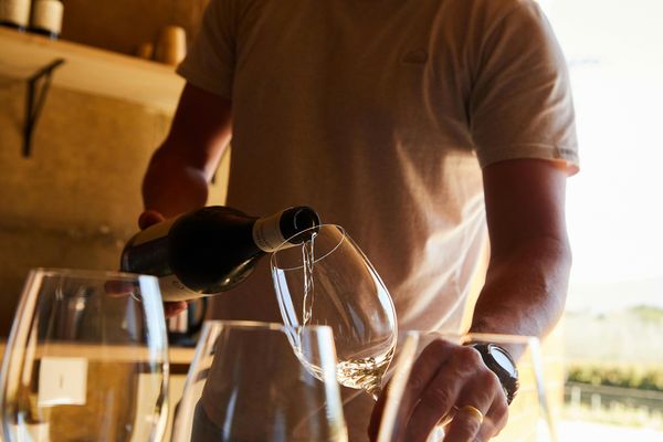 Contenido Cata de Vinos | Formación y Enología