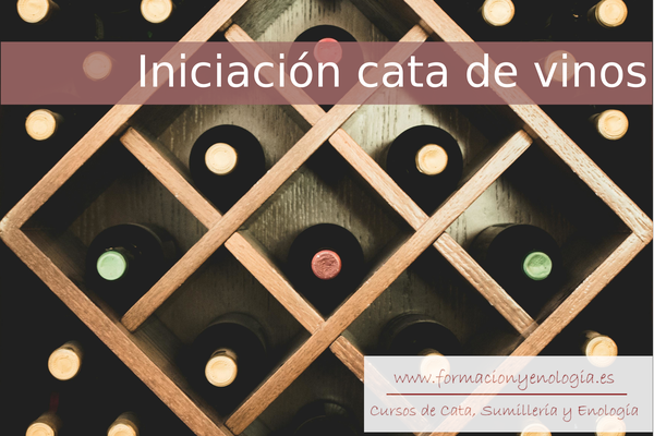 Iniciación Cata de vinos | Formación y Enología