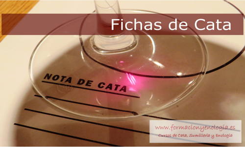 Fichas de cata | Formación y Enología